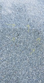 IMG_9514.jpeg