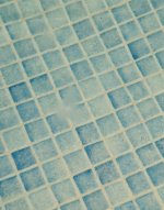 Pool white clump 2.jpg Pool white clump 2.jpg