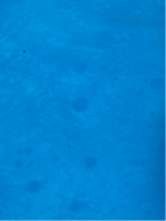 Pic 1.png