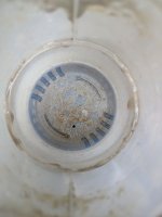 PXL_20230528_075104711.jpg