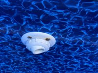 IMG_9248.jpeg