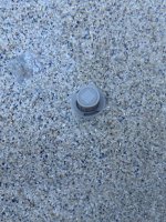 IMG_2650.jpeg