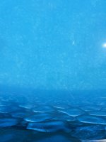 IMG_3259.jpeg