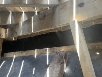 IMG_1690.jpeg IMG_1690.jpeg