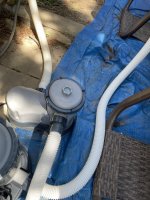 IMG_4053.JPEG IMG_4053.JPEG