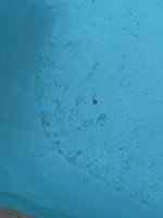 IMG_9358.jpeg