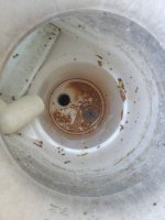 20230605_072618.jpg