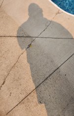 CONCRETE1.jpg