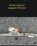 IMG_0102.jpeg