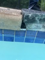 IMG_0712.jpeg