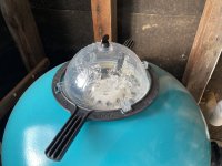 IMG_5397.jpeg