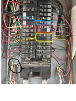 Labelled IMG_5711.jpg