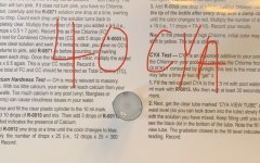 IMG_6572.jpeg IMG_6572.jpeg