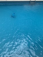 IMG_6568.jpeg IMG_6568.jpeg