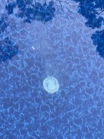 IMG_0004.jpeg