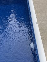 IMG_0007.jpeg