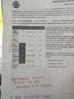 IMG_4458.jpeg