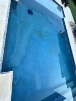 IMG_7833.JPEG