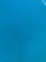 Pool #1.jpg