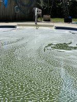 IMG_7403.jpeg