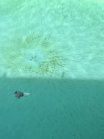 IMG_5986.jpeg