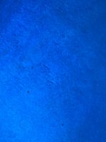 F4D515B1-75C2-46AC-8029-676540375773.jpeg