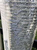IMG_0801.jpeg