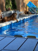 IMG_3284.jpeg