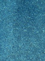 IMG_0829.jpeg