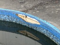 IMG_1266.jpeg