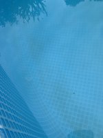 IMG_4621.jpeg IMG_4621.jpeg
