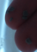 1687994781919.png