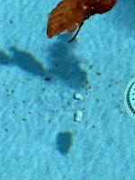 IMG_4716.jpeg