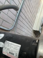 IMG_2331.jpeg