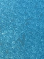 IMG_2905.jpeg