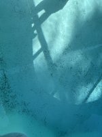IMG_5790.jpeg