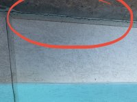 IMG_2971.jpeg