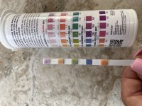 IMG_6108.jpeg