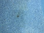 Spot.jpg Spot.jpg
