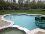 IMG_0141.jpg IMG_0141.jpg
