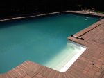 Pool 5-29-14.JPG Pool 5-29-14.JPG