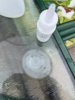 IMG_6424.jpeg
