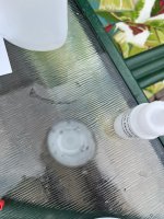 IMG_6425.jpeg