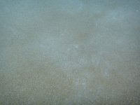 DSC00095.JPG