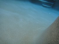 DSC00100.JPG