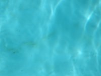 PXL_20230710_201810824.jpg