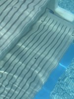 IMG_2937.jpeg