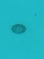 pool bottom close.jpg