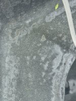 IMG_2415.jpeg