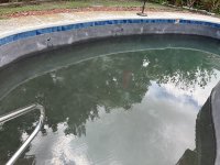 IMG_2416.jpeg